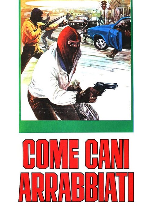Come cani arrabbiati