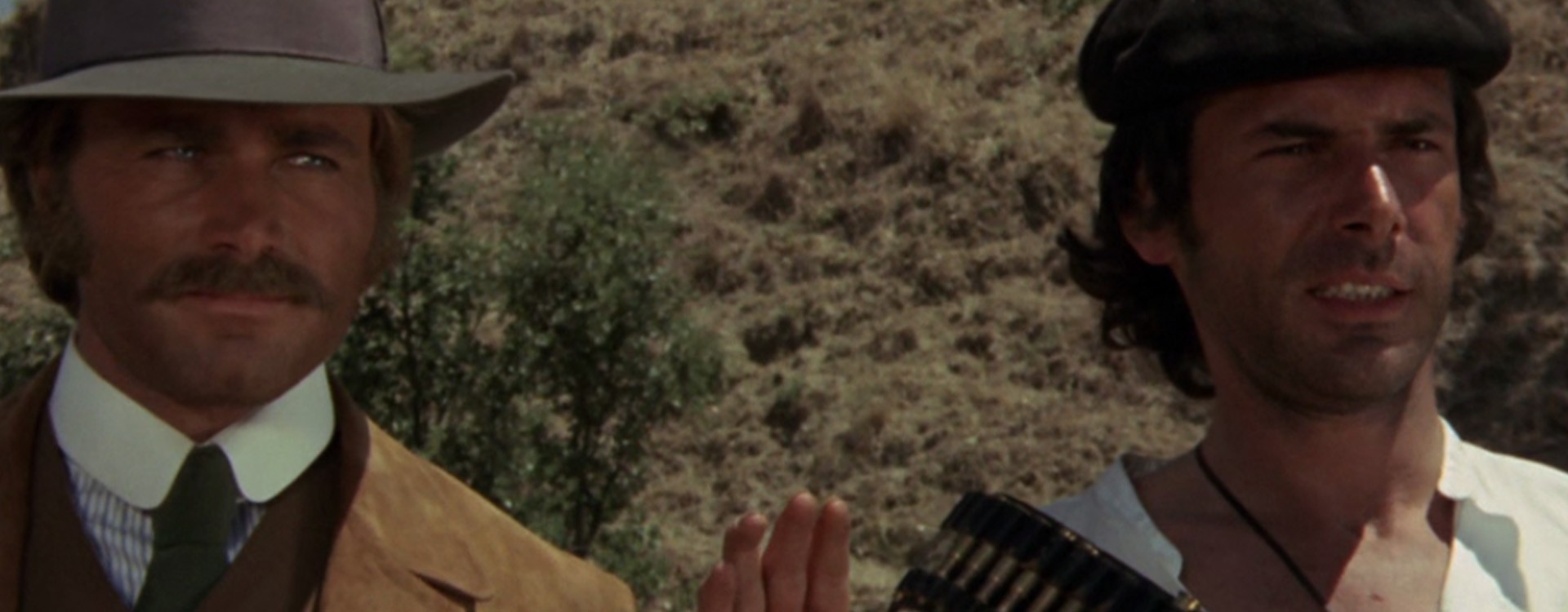 Vamos a matar compañeros