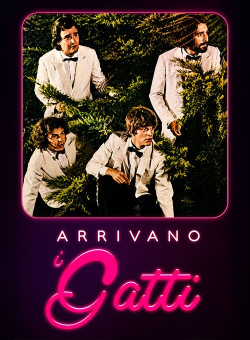 Arrivano i gatti