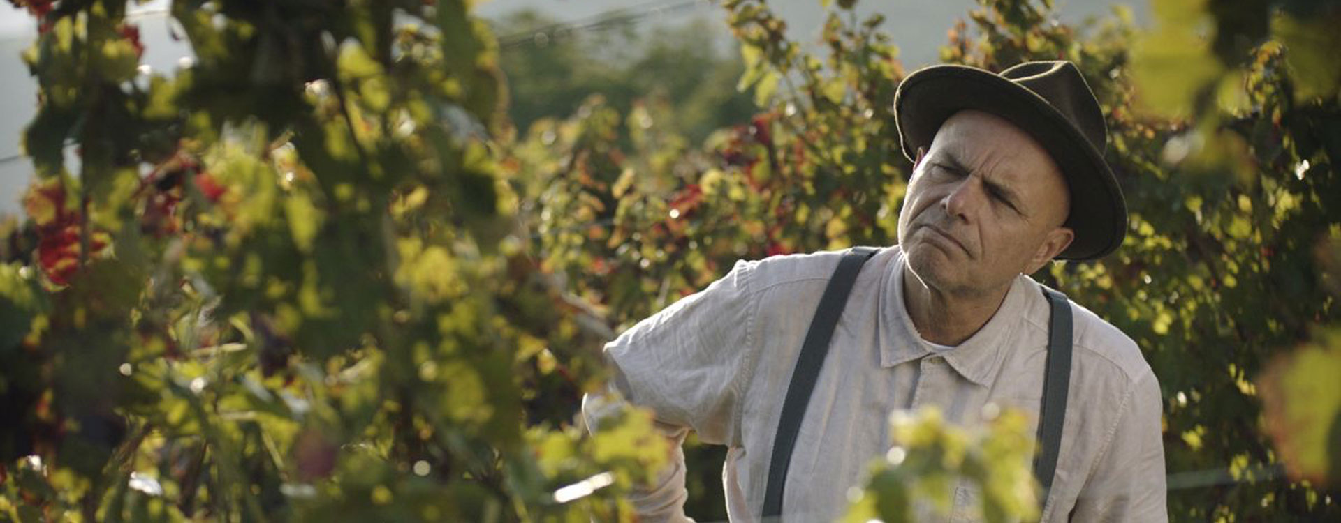 In vino veritas