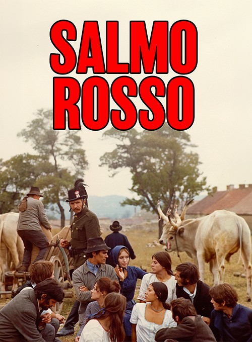 Salmo rosso