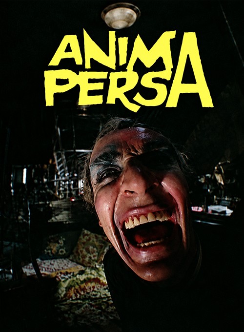 Anima persa